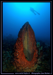 South of Lembeh Strait... Que du bonheur... :O)... by Michel Lonfat 